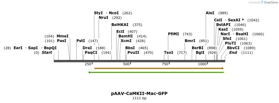 94185_map