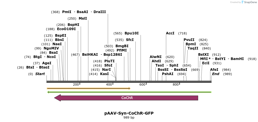 94186_map