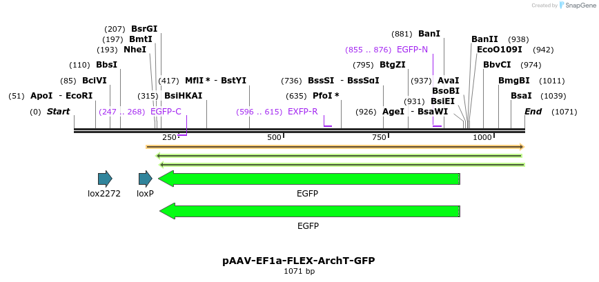 94189_map