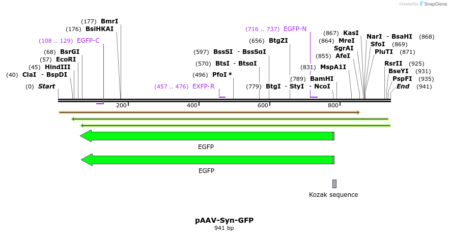 94191_map