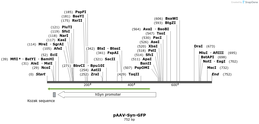 94192_map