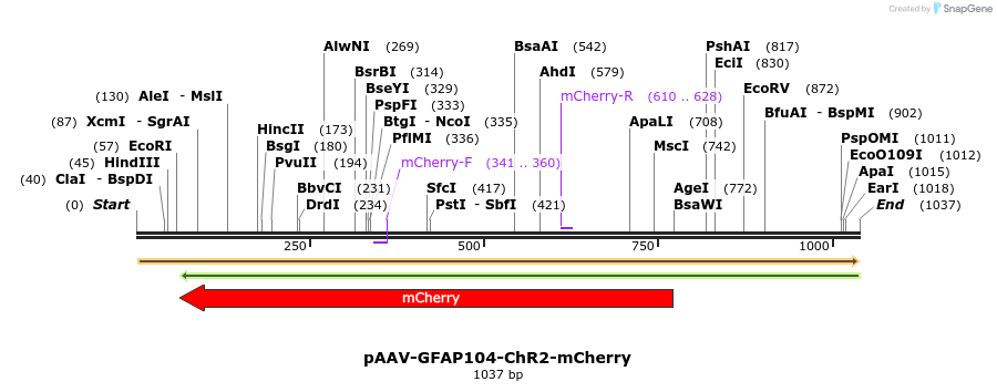 94194_map