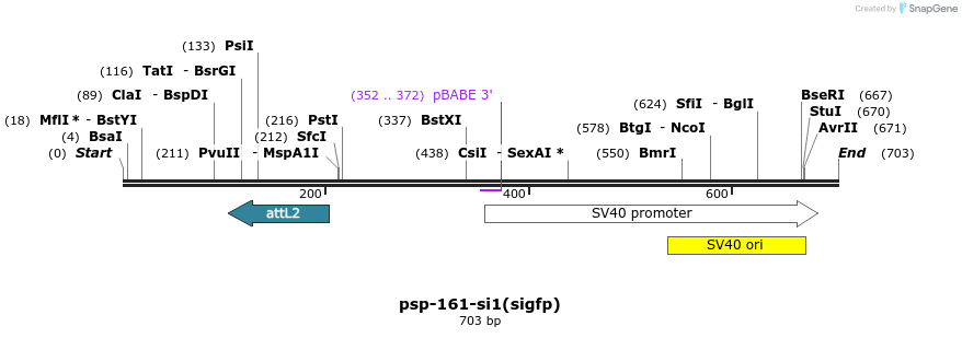 94195_map