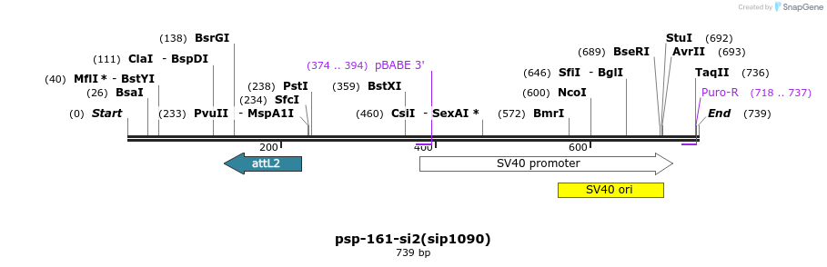 94197_map
