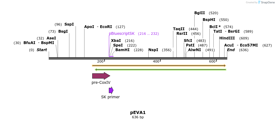 94199_map