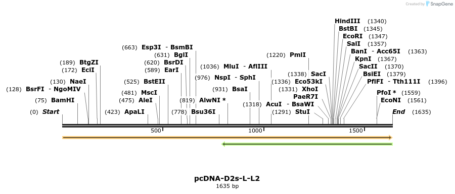 9420_map