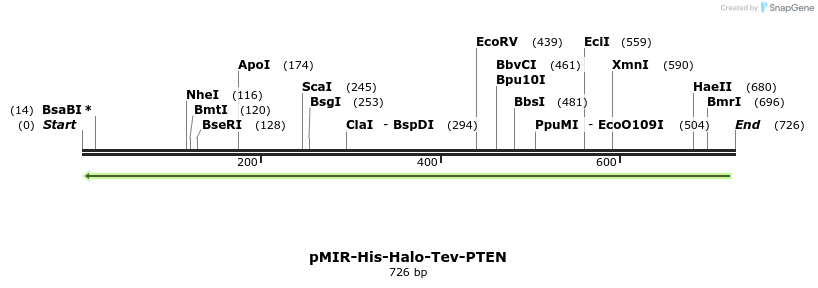 94202_map