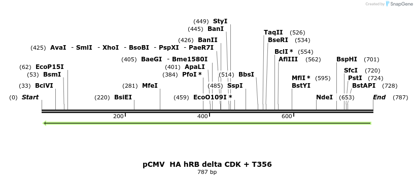 94205_map