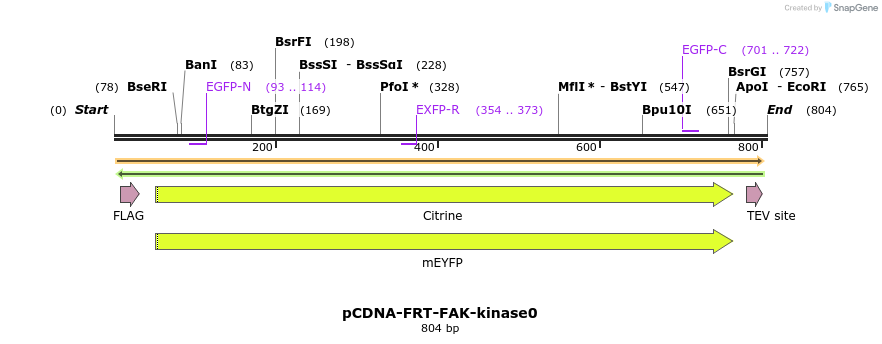 94206_map
