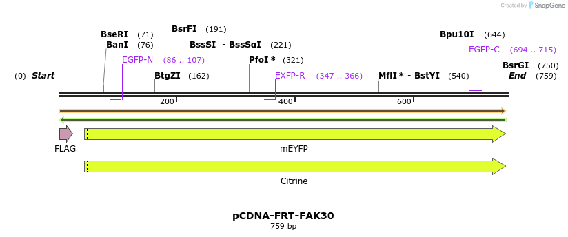 94208_map