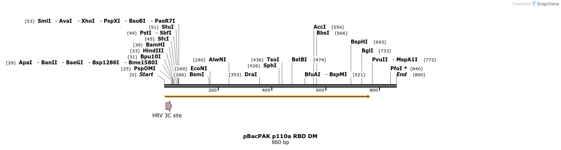 94209_map