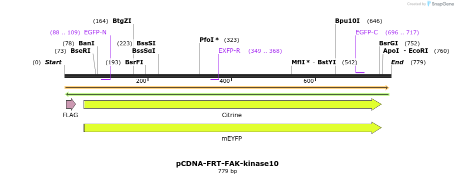 94210_map