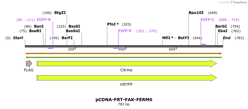 94211_map