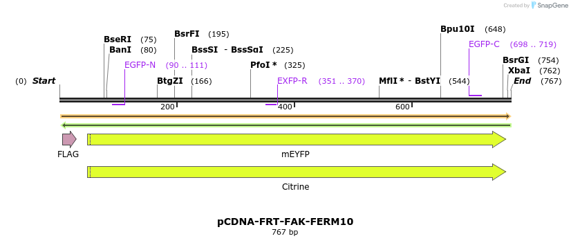 94214_map