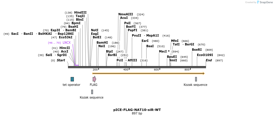 94217_map