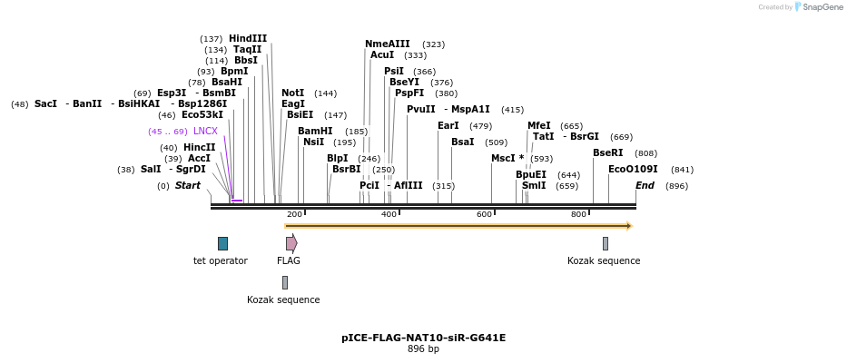 94218_map
