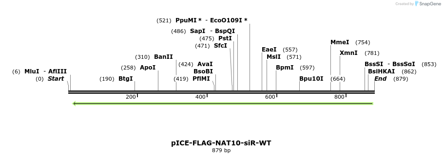 94219_map