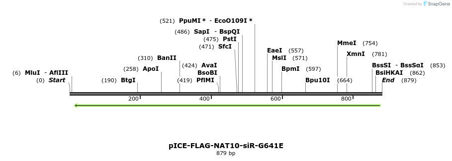 94220_map