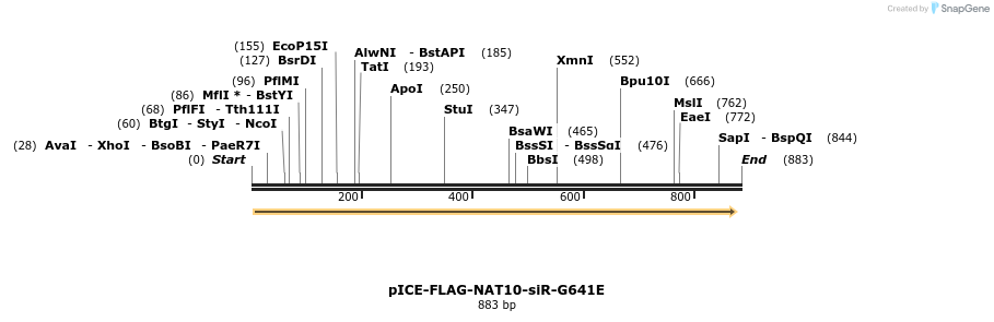 94221_map