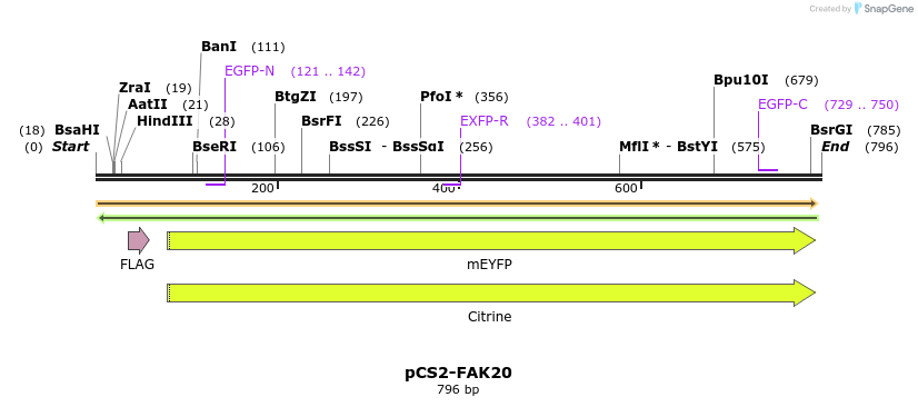 94223_map