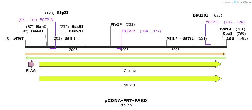 94245_map
