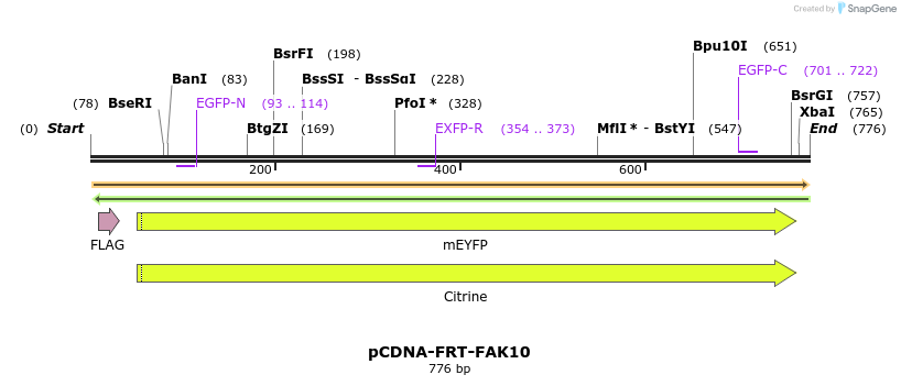 94246_map