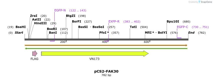 94248_map