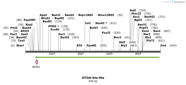 94251_map