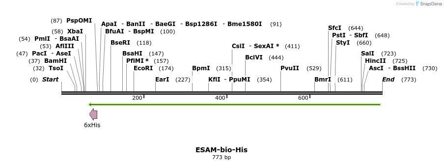 94253_map