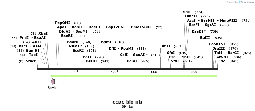 94255_map