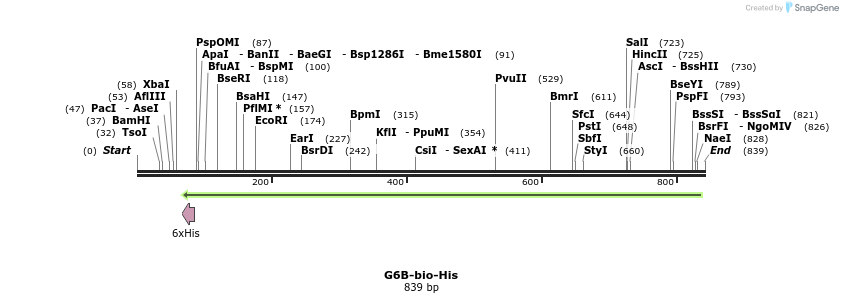 94257_map