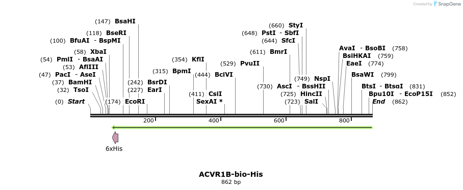 94258_map