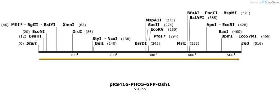 94260_map