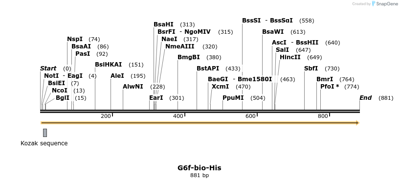 94263_map