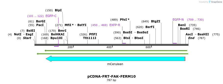94275_map