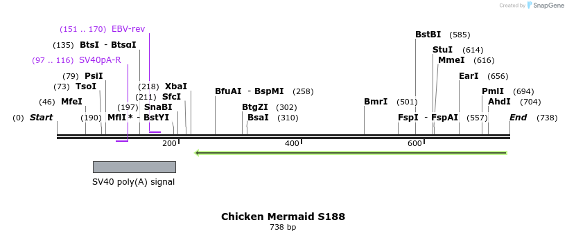 94282_map