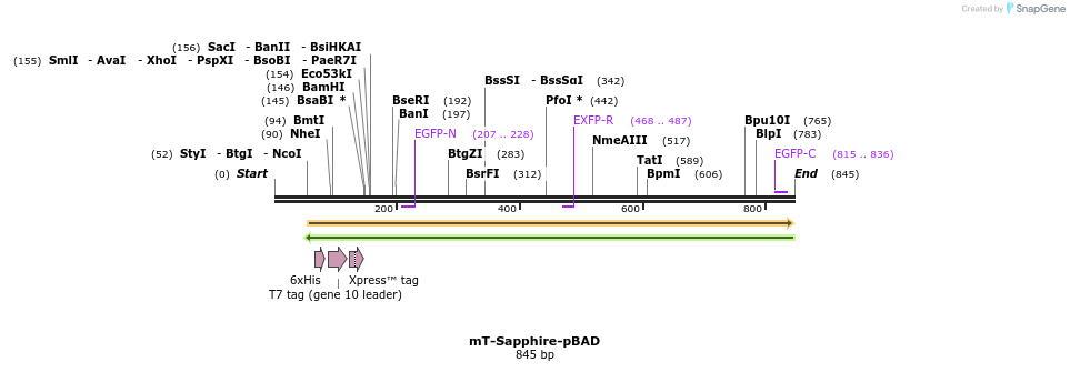 94284_map