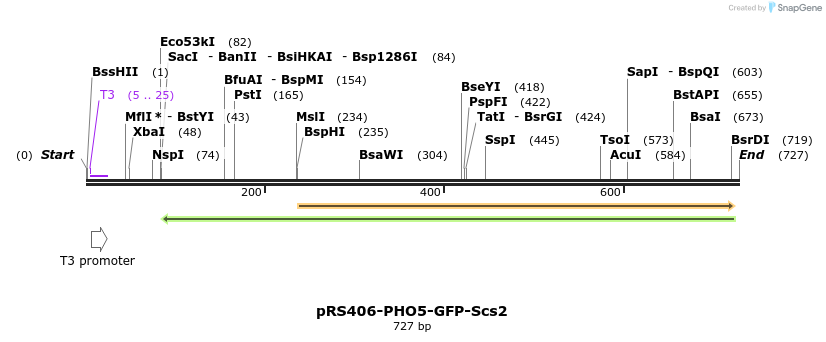 94287_map