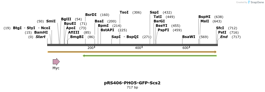 94289_map