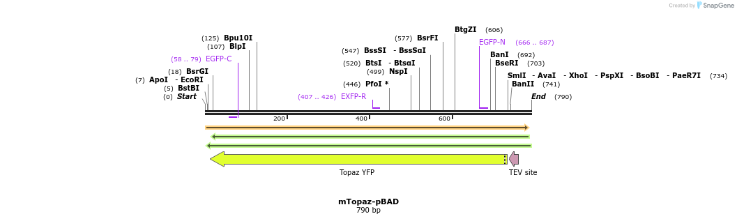 94292_map