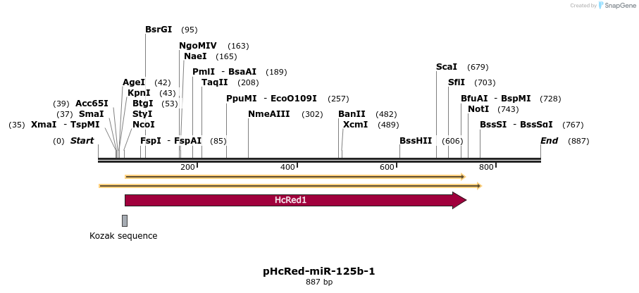 94294_map
