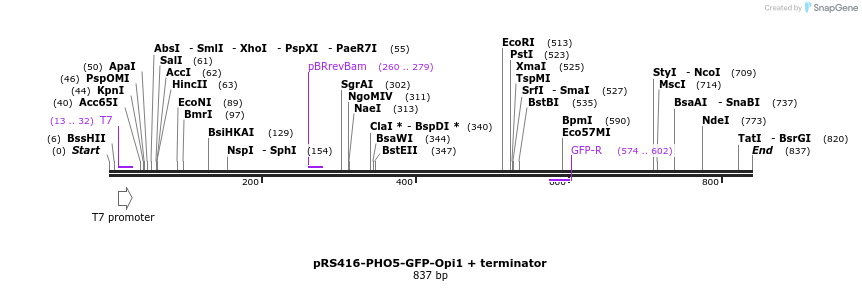 94296_map