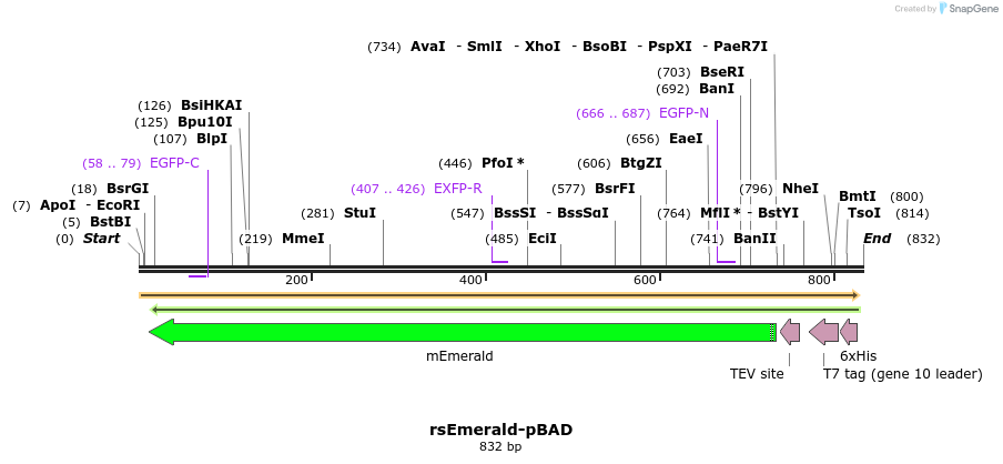 94297_map
