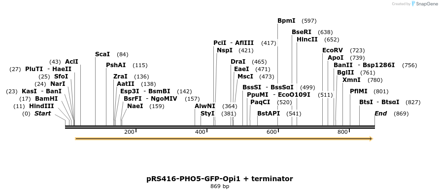 94298_map