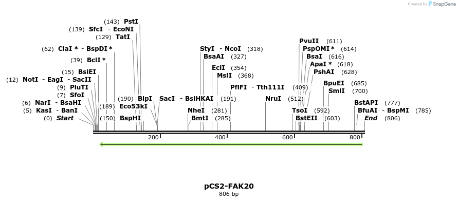94305_map