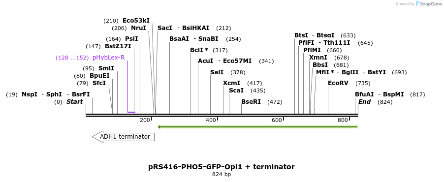 94307_map