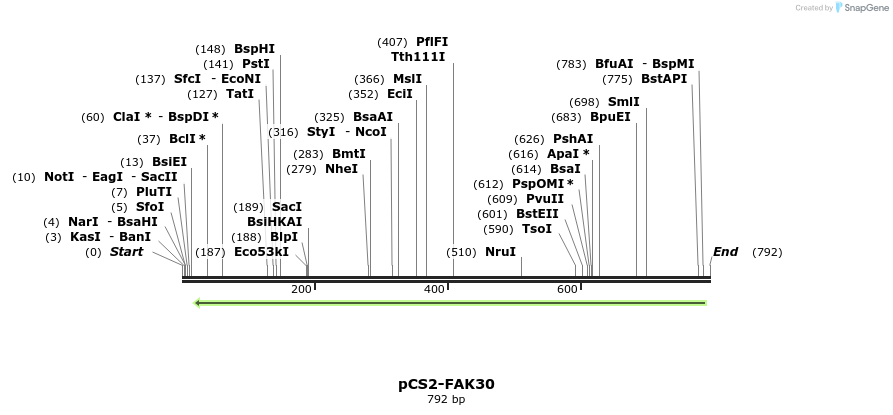 94308_map