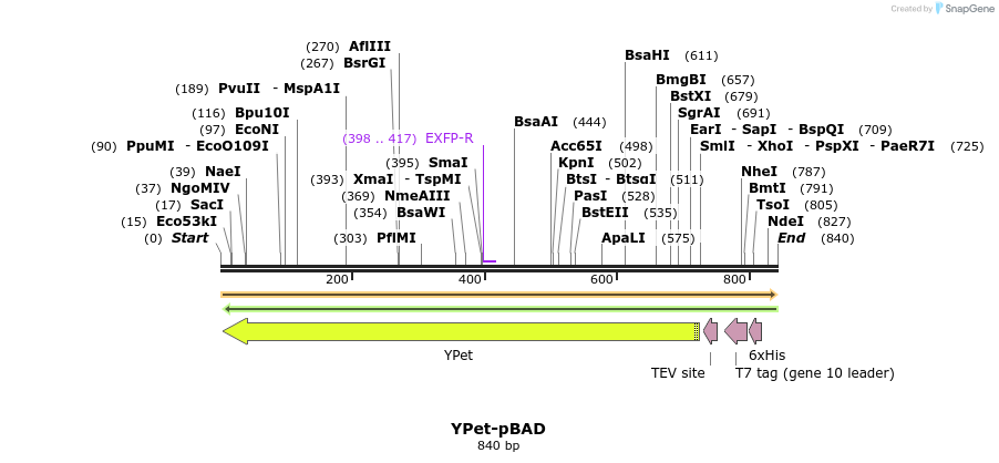 94309_map
