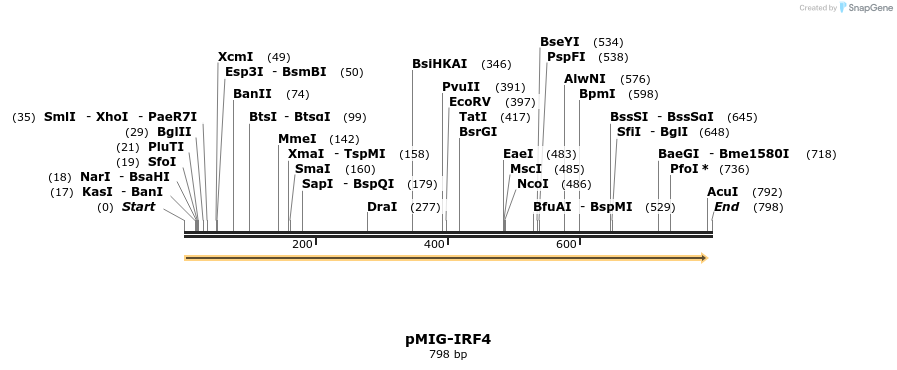 94310_map