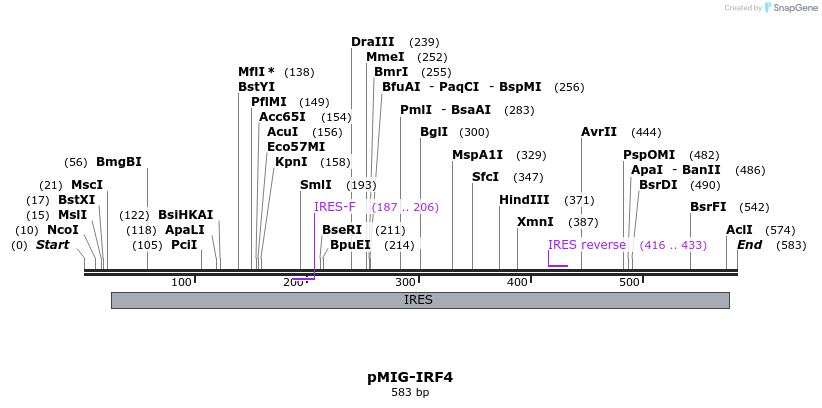 94312_map